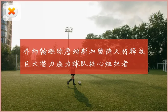 乔约翰逊称詹姆斯加盟热火将释放巨大潜力成为球队核心组织者