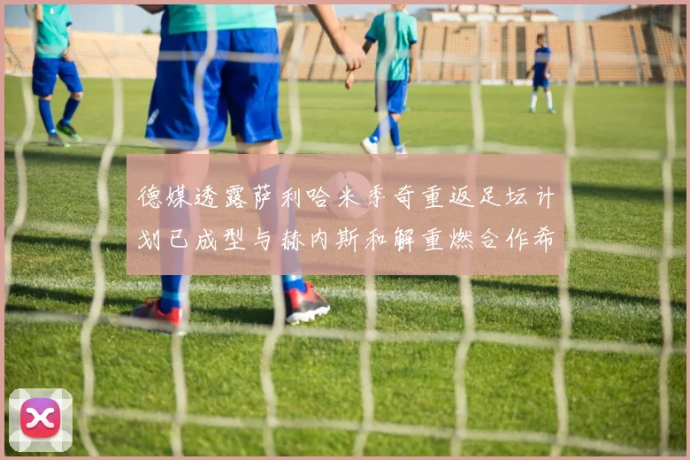德媒透露萨利哈米季奇重返足坛计划已成型与赫内斯和解重燃合作希望