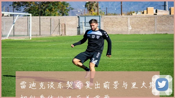 雷迪克谈东契奇复出前景与里夫斯相似身体状况至关重要